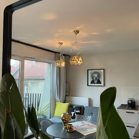 Piper Gold Targi Познань