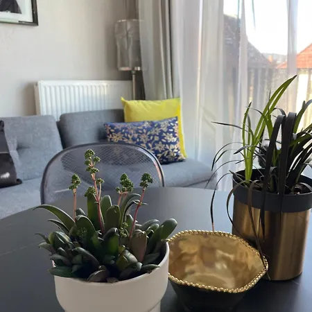 Apartment Piper Gold Targi *